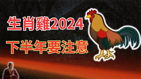 屬雞下半年運勢|2024下半年走大運！4生肖運勢崛起 屬雞「事業起飛黃金期」更幸福